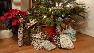 Sapin