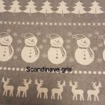 Scandinave gris