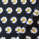 Marguerites N
