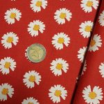 Marguerites R